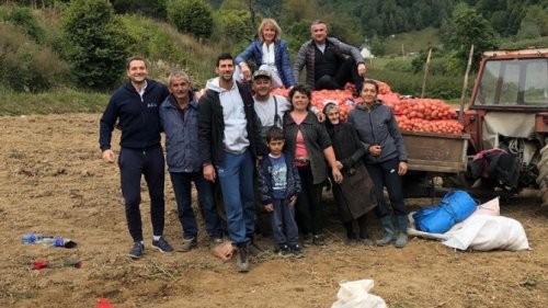 Novak, Brzeća, krompir