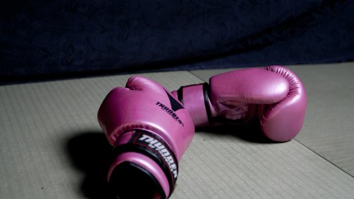 Upravni odbor "Balkan Boxing" postavio sebi visoke norme u 2012. godini