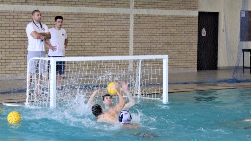 Vaterpolisti Vojvodine privremeno treniraju u Bečeju, RVL - A2