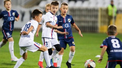 FK Čukarički odlaže sve sportske aktivnosti najmlađih članova, Linglong  Superliga Srbije