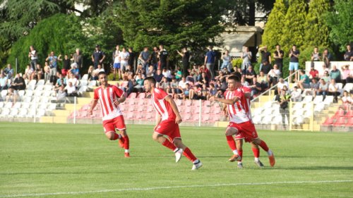 Sinđelić istupio iz Prve lige, novi prvoligaš će biti...?!, Prva liga Srbije