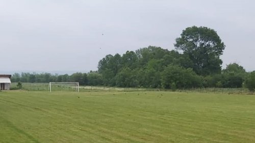 Prva pobeda Mladosti 1948 u Podunavskoj okružnoj ligi, Podunavska okružna liga