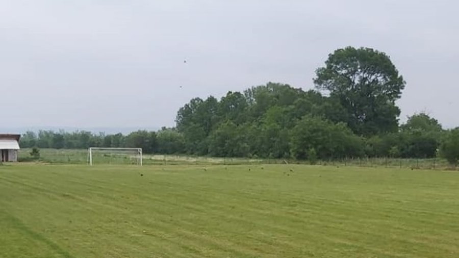 Još jedan trijumf Mladosti 1948 na domaćem terenu, Podunavska okružna liga