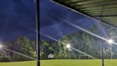 Vemić u starom jatu, Srpska liga Vojvodina