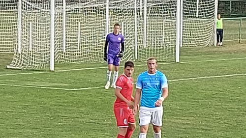 Traktorče izoralo Žarkovo, Prva liga Srbije