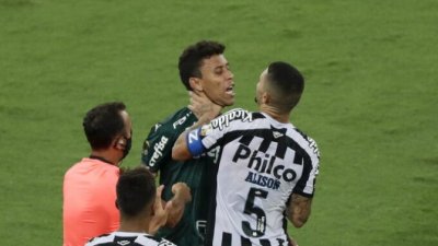 Palmeiras vladar Južne Amerike