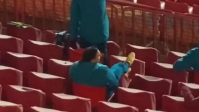 Prmitivac sa Marakane