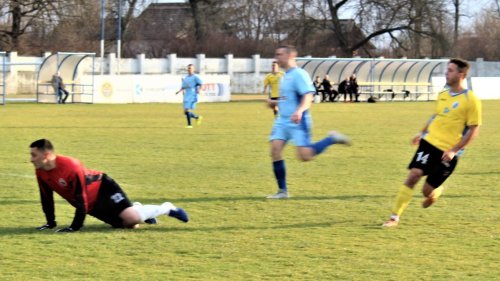 Mitrović dvostruki strelac, Srpska liga Vojvodina