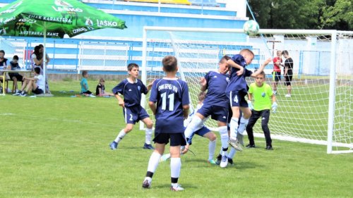 Ikebana mladosti kraj Tise