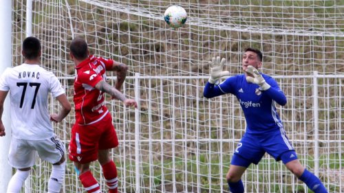 Đorđe Petrović: Imamo dovoljan fond igrača za borbe na tri fronta, Linglong  Superliga Srbije