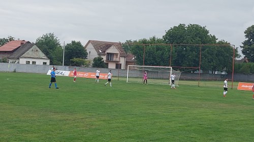 Miroljubivo u Dobanovcima, Prva liga Srbije