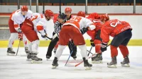 Zvezda za vikend protiv Medveščaka i Vojvodine