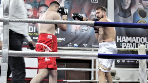 Uspešan povratak Rovčanina