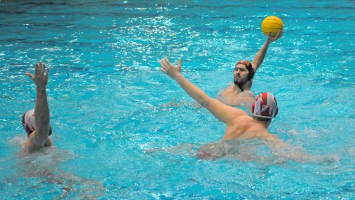 Radnički otvara plej-of u Novom Sadu, Super liga - Play off