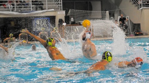 Radnički brusio formu sa Pro Rekom, LEN Champions League - group B