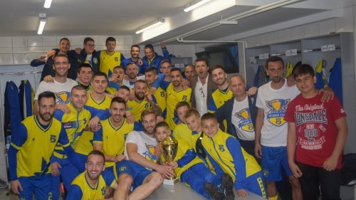 "Kanarinci" šampionski, Detelinara u novom ruhu, Vojvođanska liga "Jug"