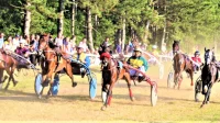 Konjički klub Potisje u nedelju organizuje kasački dan u Bečeju