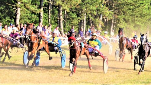 Konjički klub Potisje u nedelju organizuje kasački dan u Bečeju