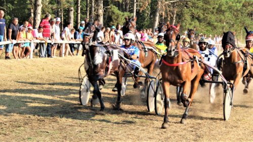 Trijumf Rick del Duoma i Borisa Novića