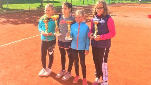 Jana Gujanica bronzana