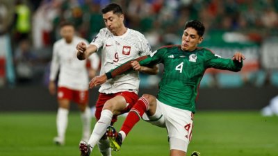 Remi Poljaka i Meksika