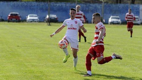 Ples "zebri" kod Spomen parka, Srpska liga Zapad