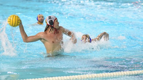 LŠ: Šampion Evrope u Kragujevcu, LEN Champions League - group A