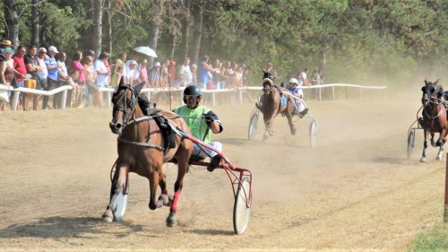 Sutra od 16 sati kasački dan u Bečeju