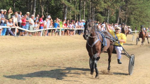 Vremenski uslovi odložili kasački dan u Bečeju