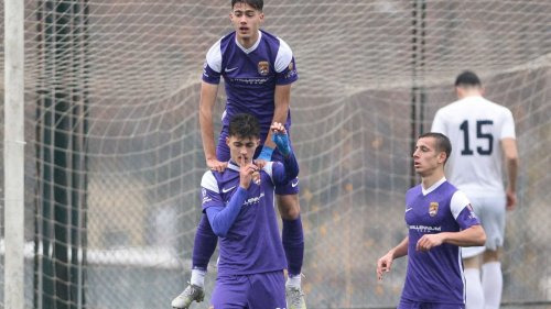 Braća Mituljikić ponovo zajedno, Mozzart Bet Prva liga Srbije