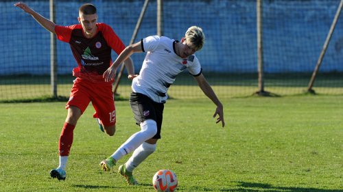 Slogin prvenac kod Spomen parka, Zona Šumadijsko-raška