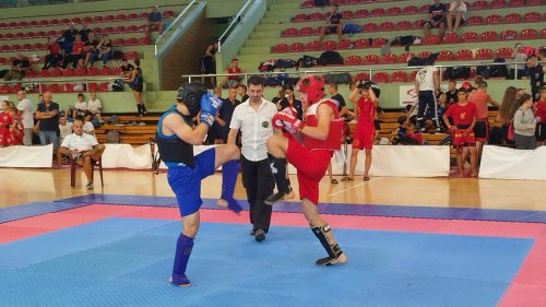 Kungfu vušu elita u Novom Bečeju