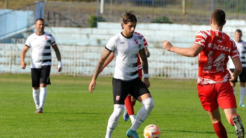 Slogina šesta recka, Zona Šumadijsko-raška