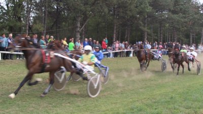 Zahvalnost Nemetu i Sečenjiu