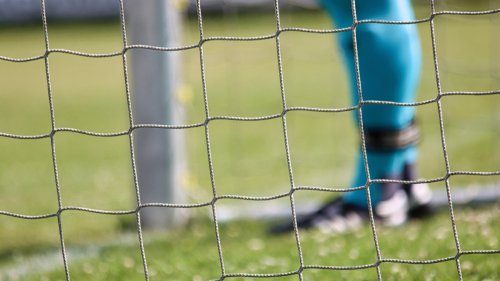 Bufonov revolucionarni predlog