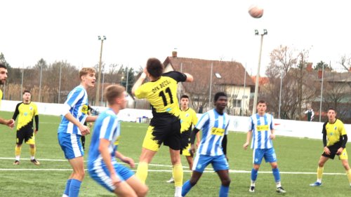 Omladinci OFK Beograda uspešniji od Bečejaca, Srpska liga Vojvodina