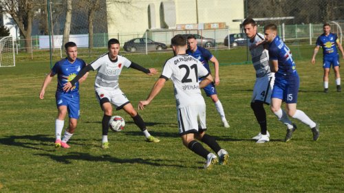 Uspešna generalka Radničkog protiv Vojvodine iz Perleza, Srpska liga Vojvodina