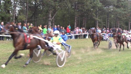 Zbog nepogodnih vremenskih uslova odložen kasački dan u Bečeju