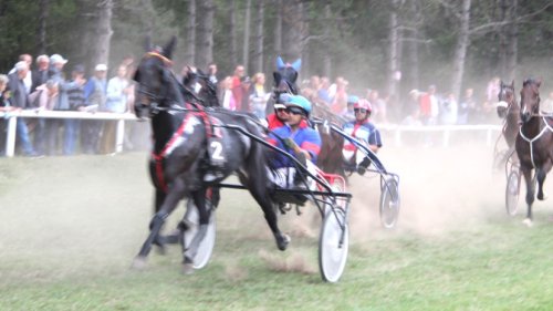 U nedelju kasački dan, pet trka u Bečeju sa četrdesetak grla