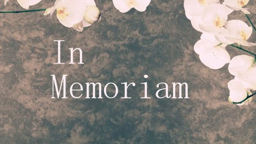 In Memoriam - Sreten "Sreja" Nikolić (1955-2026)