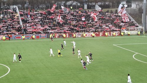 Zvezdina samba na Banovom brdu, Mozzart Bet Super liga Srbije