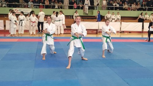 Više od 350 karatista na Prvenstvu Vojvodine u Novom Bečeju