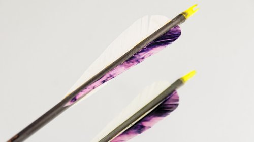 Streličarstvo: Grozdanović ušao među osam na MI