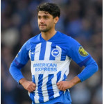 Mahmoud  Dahoud