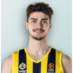 Hamza  Mestoglu