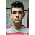 Stefan  Mitić