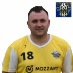Nenad  Šokčanić