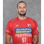 Žarko  Barjaktarević