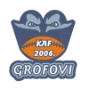 Grofovi Novi Kneževac
