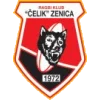 Čelik